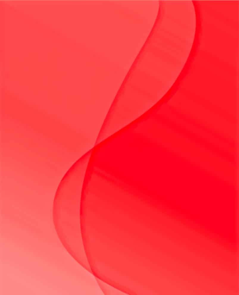 fond-fushia