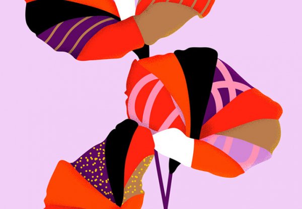 illustrator Illustrator illustrator